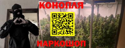 каннабис Гатчина