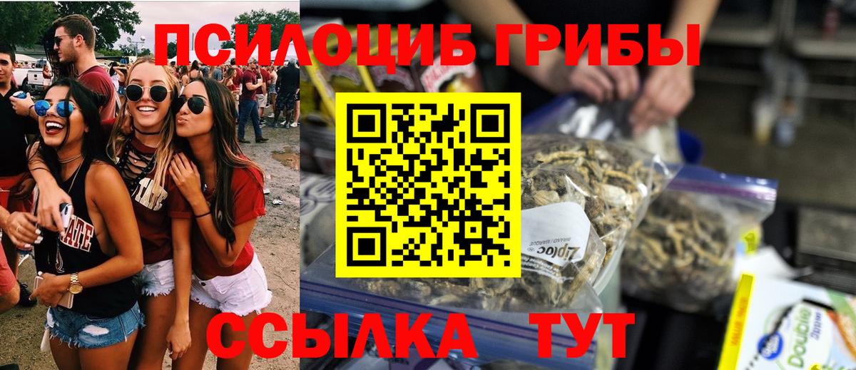 Галлюциногенные грибы мицелий Барнаул